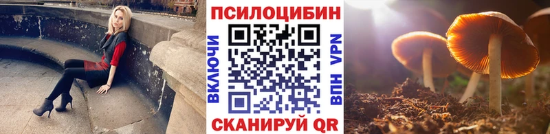 Псилоцибиновые грибы прущие грибы купить наркотик Заречный